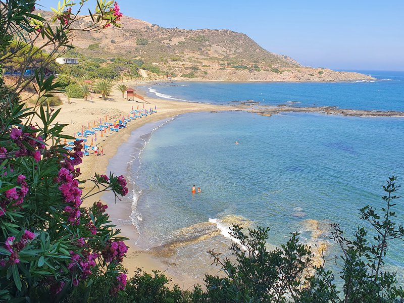 2020-06-27.jpg