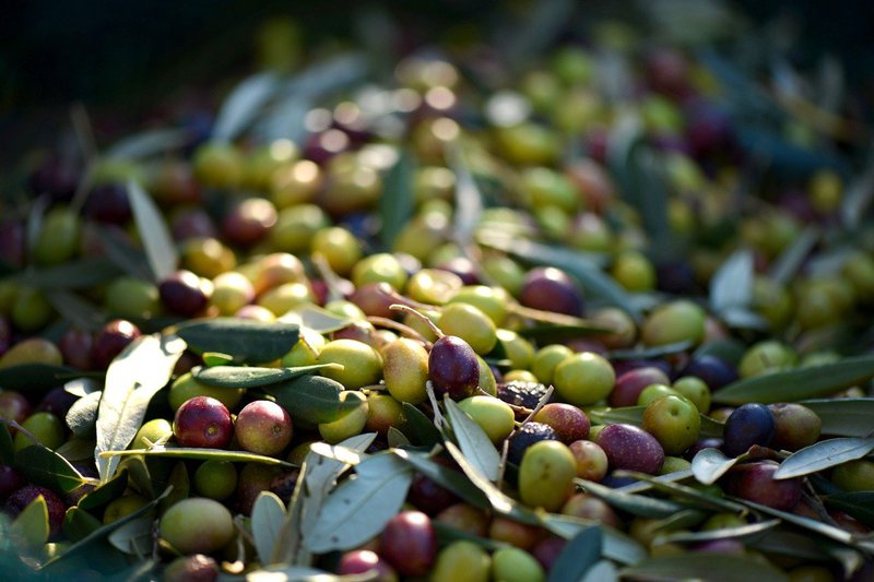 47787-sites/default/files/olives-253264_1280.jpg