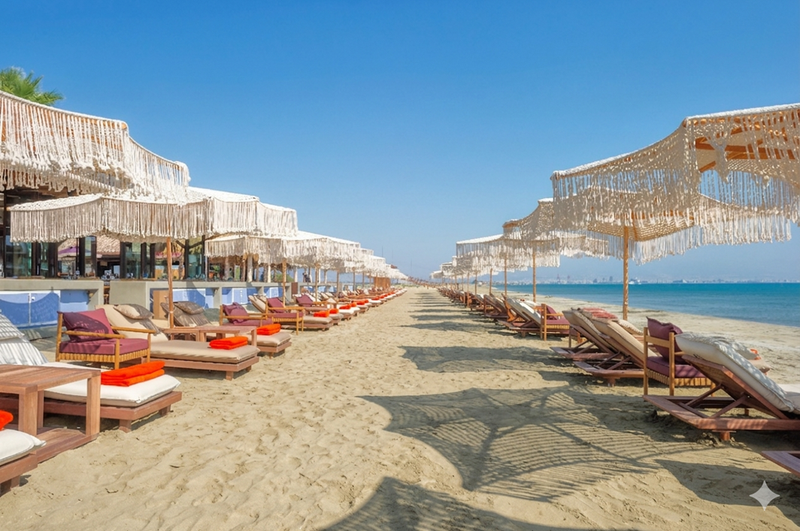 Columbia Sun_2026 (1).png