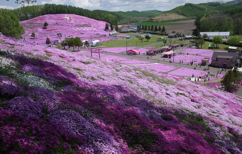 Hokkaido.webp