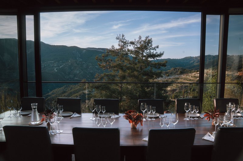 Ιδιωτικη Αιθουσα Πυργου.JPG