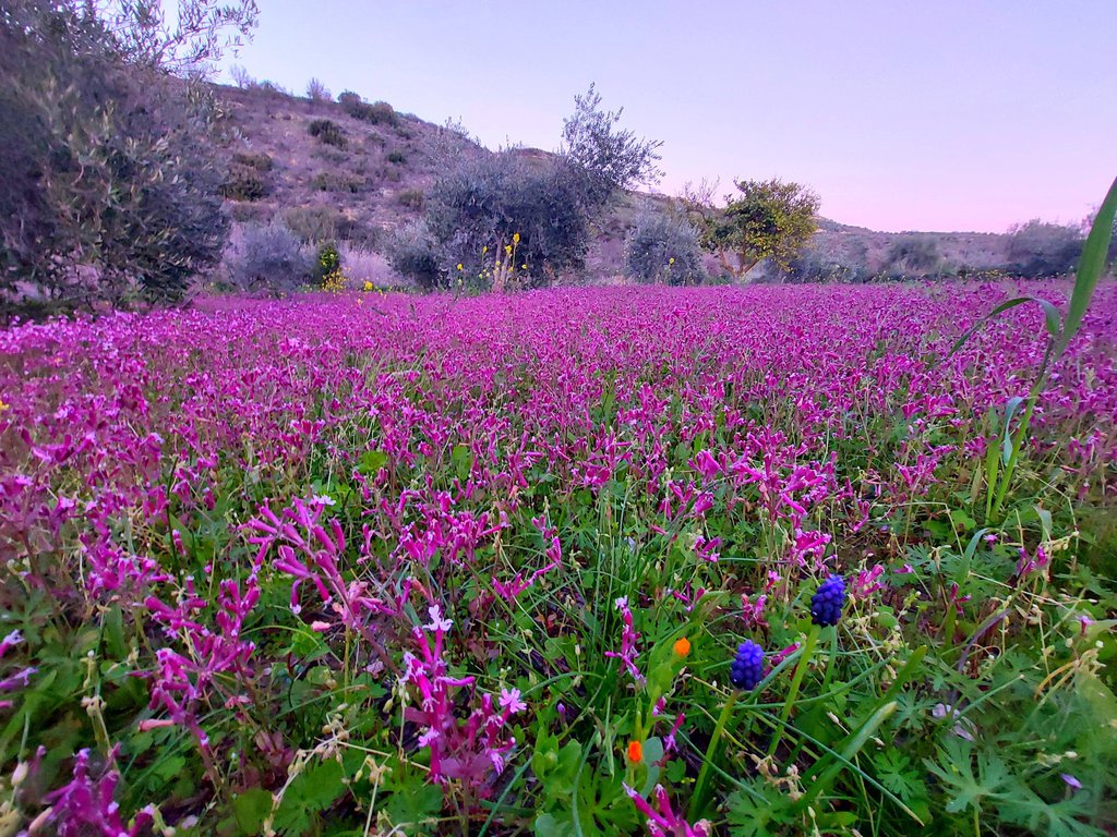 Kostas Papasavva2.jpg