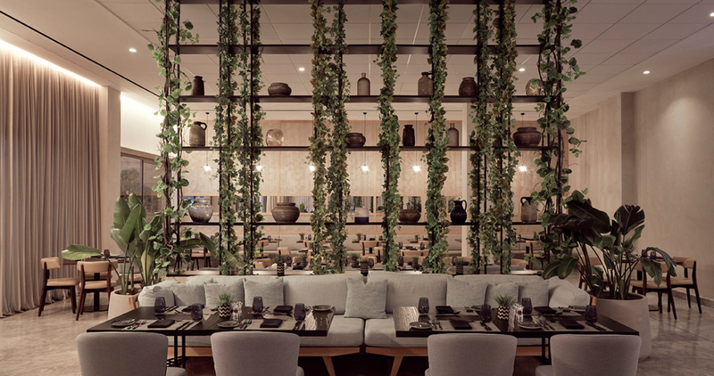 MARE PAPHOS - GREEN AND GRILL.png