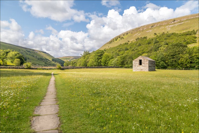 Muker-meadows.jpg