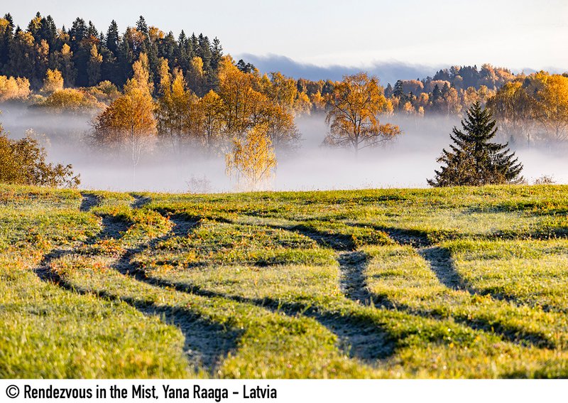 ©Rendezvous in the Mist - Yana Raaga - Latvia.jpg
