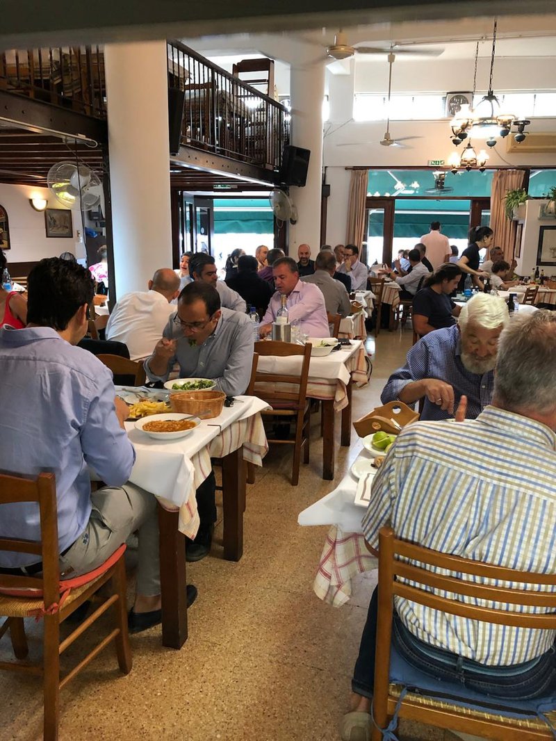 Sykaminia photo 1.jpeg