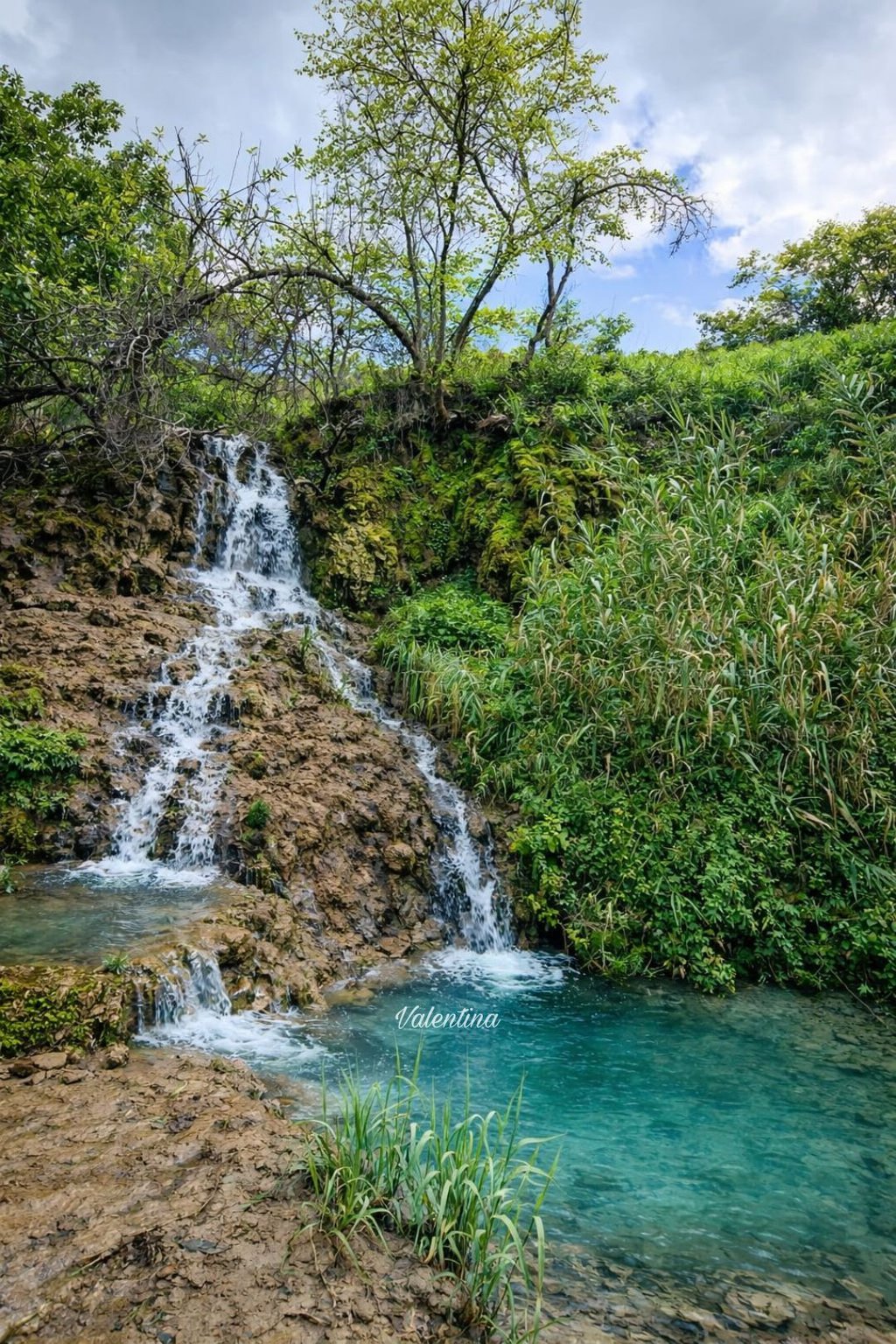 Valentina Anastasiou.jpg