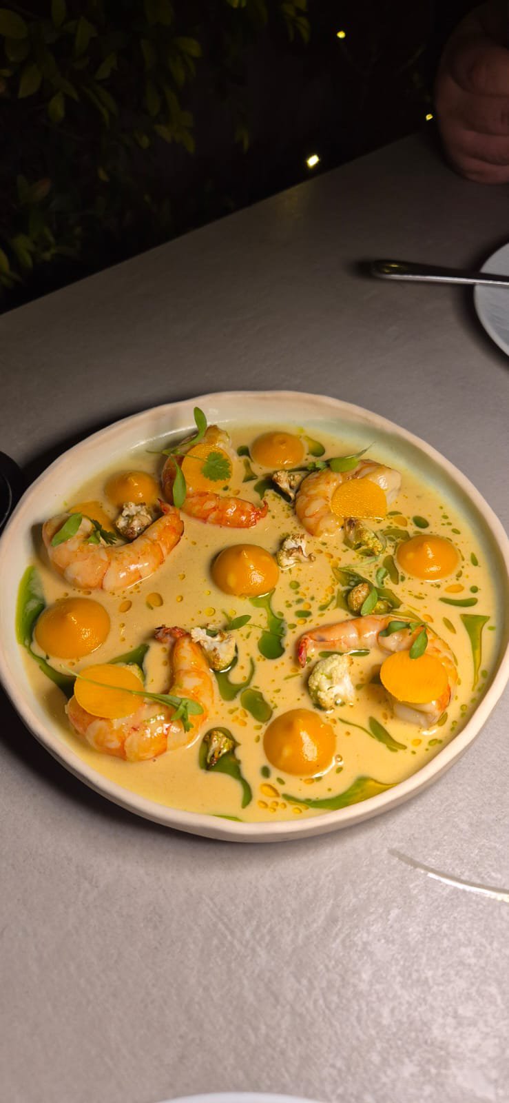 WhatsApp Image 2026-01-14 at 12.18.11 PM.jpeg