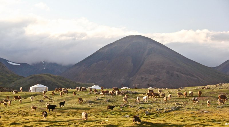 bolatbek-gabiden-unsplash-Mongolia.jpg