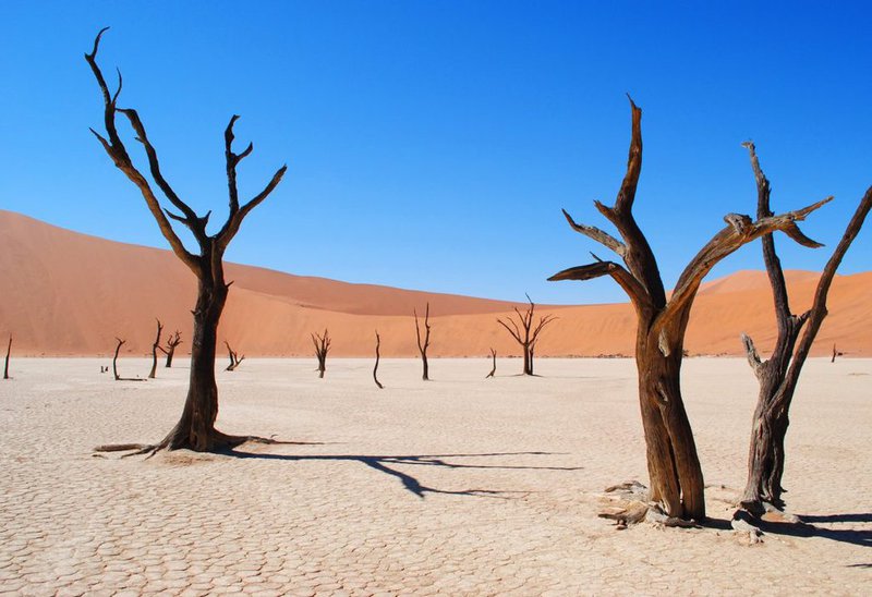 deadvlei-2011373_1920-1050x720.width-1024.jpg