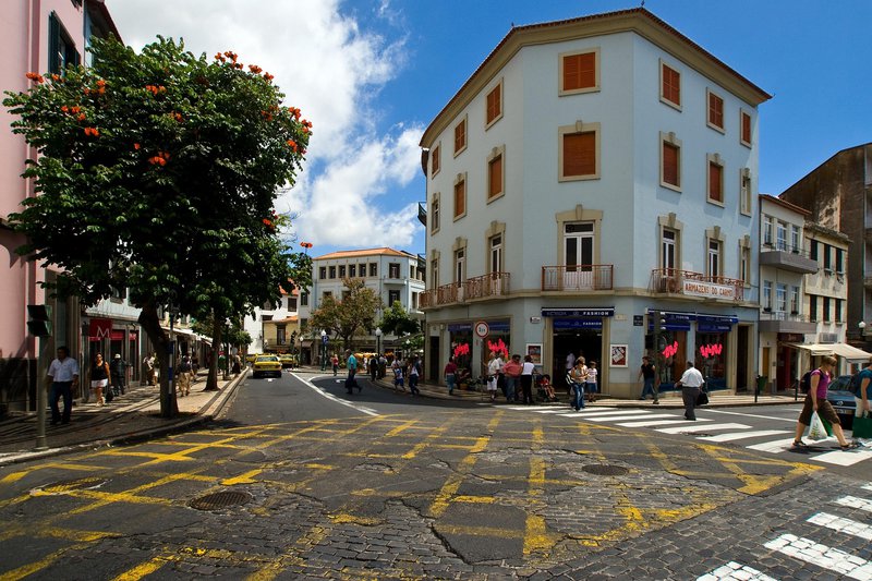 domeckopol-madeira-647903_1920.jpg