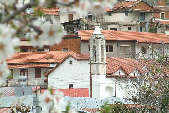 foini_NAzDSjQ.width-800.jpg