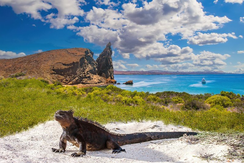 galapagos-islands-ecuador-sh.jpg