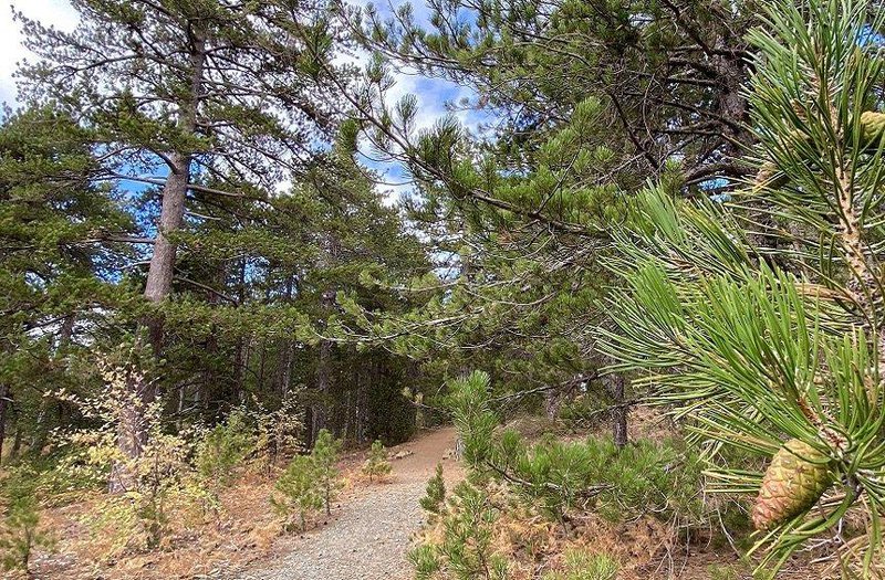 livadi-trail-4.dfe21cf4b1ed75e6a4877e3f8f5da2cd.jpg