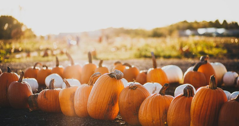 maddy-baker-gS32T4TxSJY-unsplash.2e16d0ba.fill-1375x729.jpg