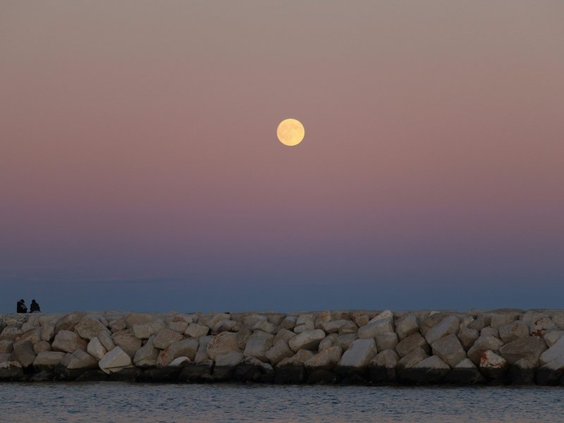 moonlit-concert-coming-to-limassol-scaled.jpg
