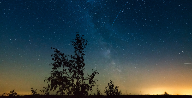 perseids (1).png