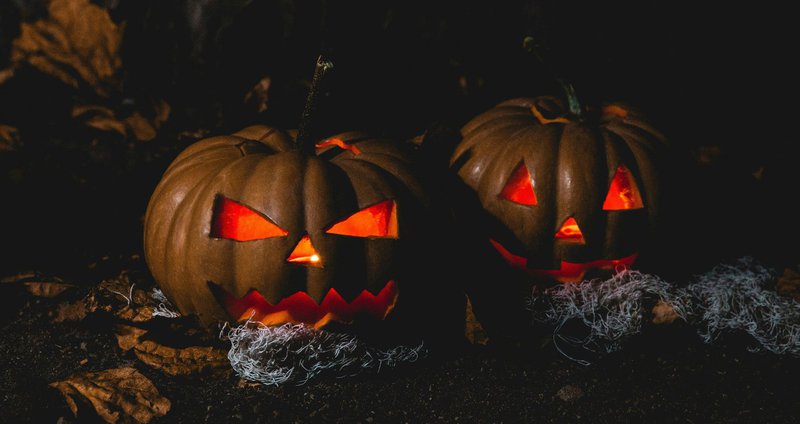 pexels-ifreestock-619418.2e16d0ba.fill-1375x729.jpg
