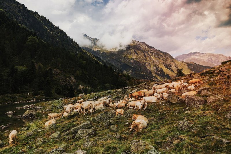 shutterstock_-Pyrenees-France.jpg