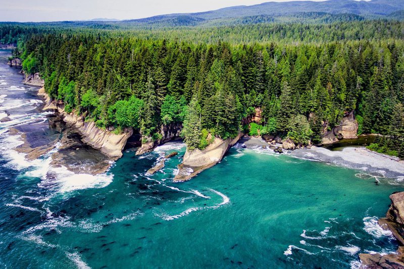 shutterstock_Aerial-image-of-the-Pacific-Rim-area-Vancouver-Island.jpg