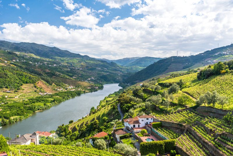 shutterstock_Landscape-of-the-Douro-river-regionin-Portugal-Vineyards.jpg